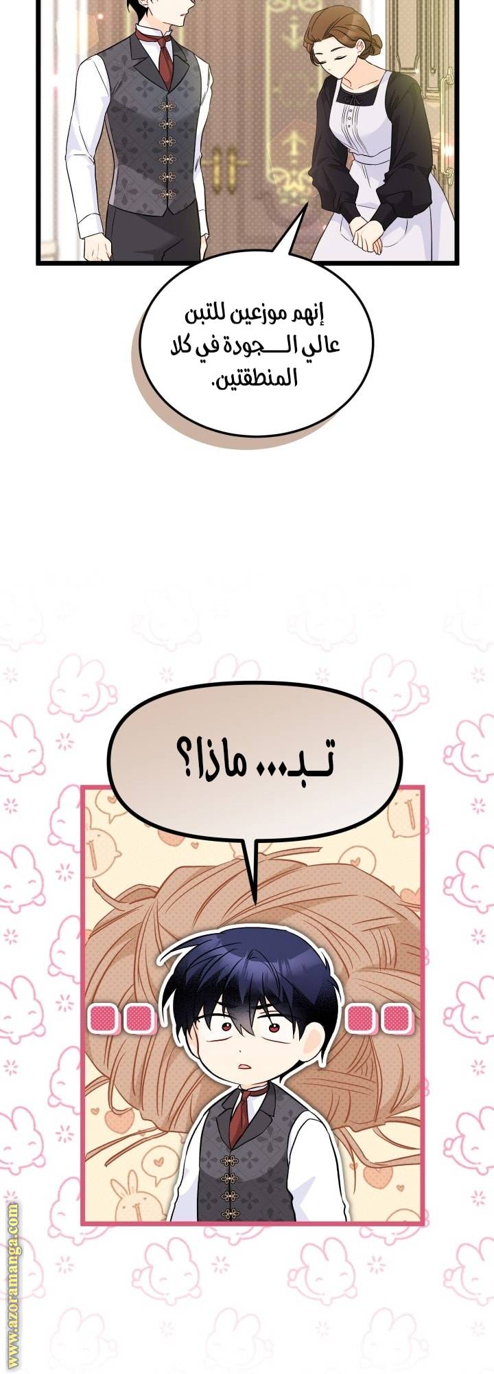 الصفحة 30