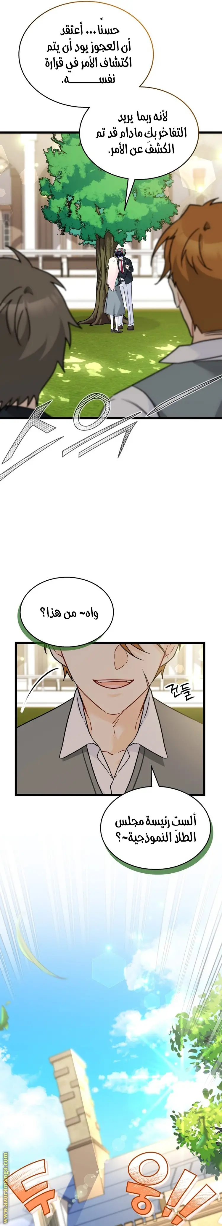 الصفحة 15