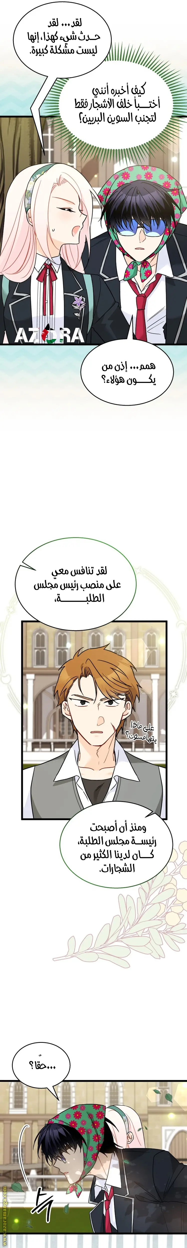 الصفحة 17