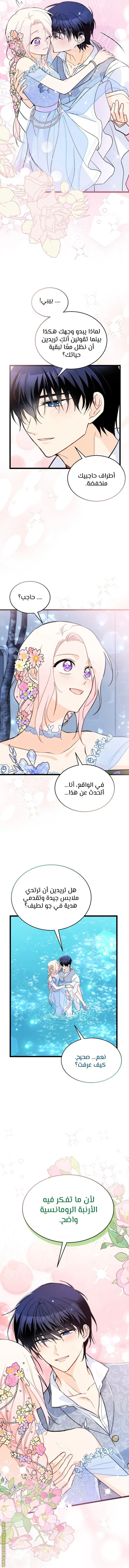 الصفحة 14