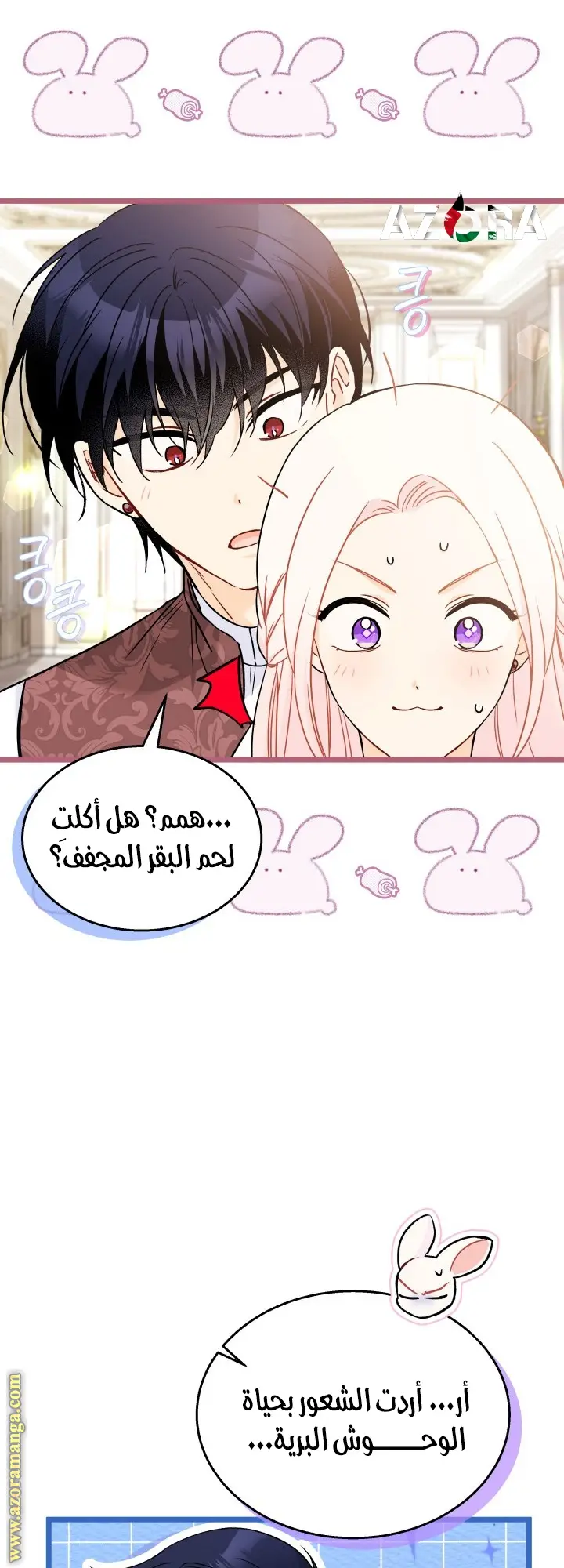 الصفحة 17