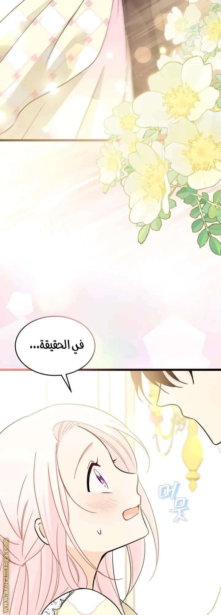 الصفحة 21