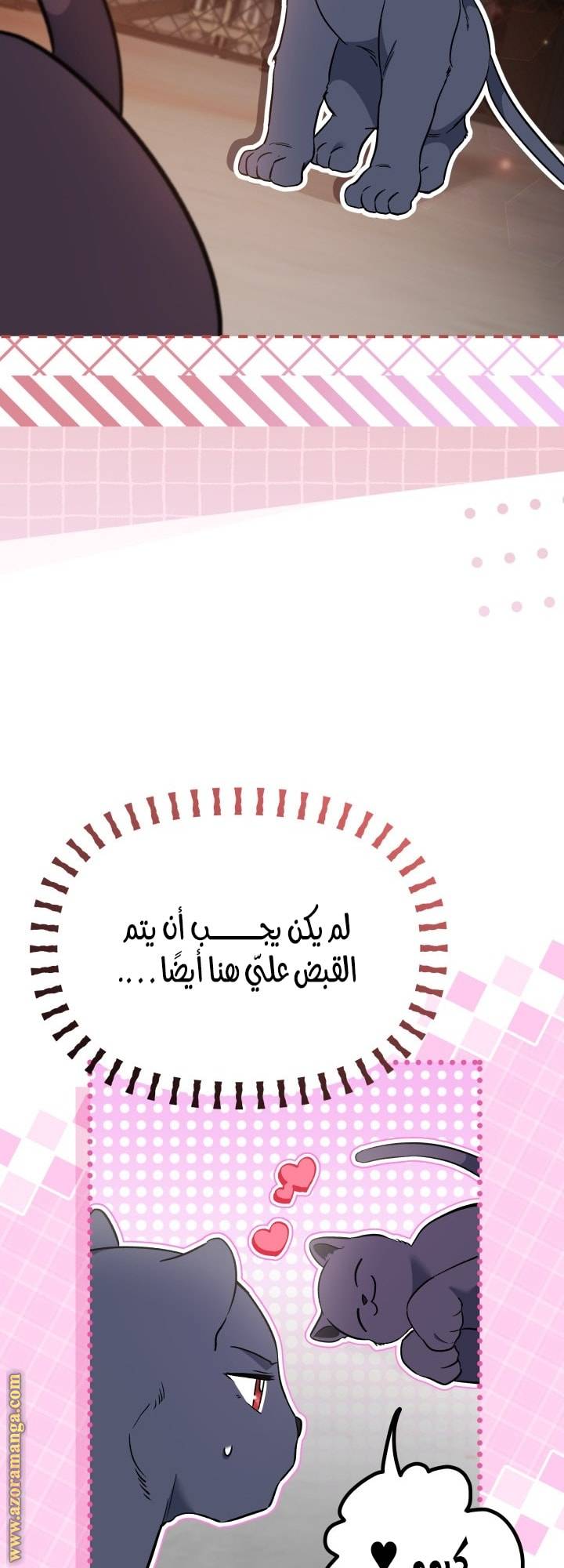 الصفحة 19