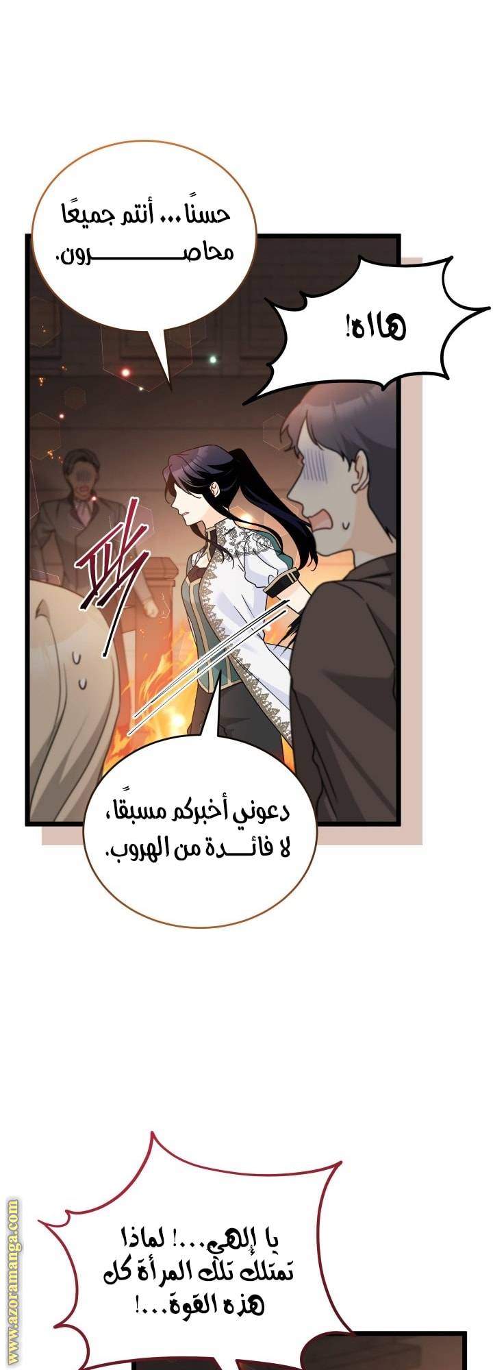الصفحة 27