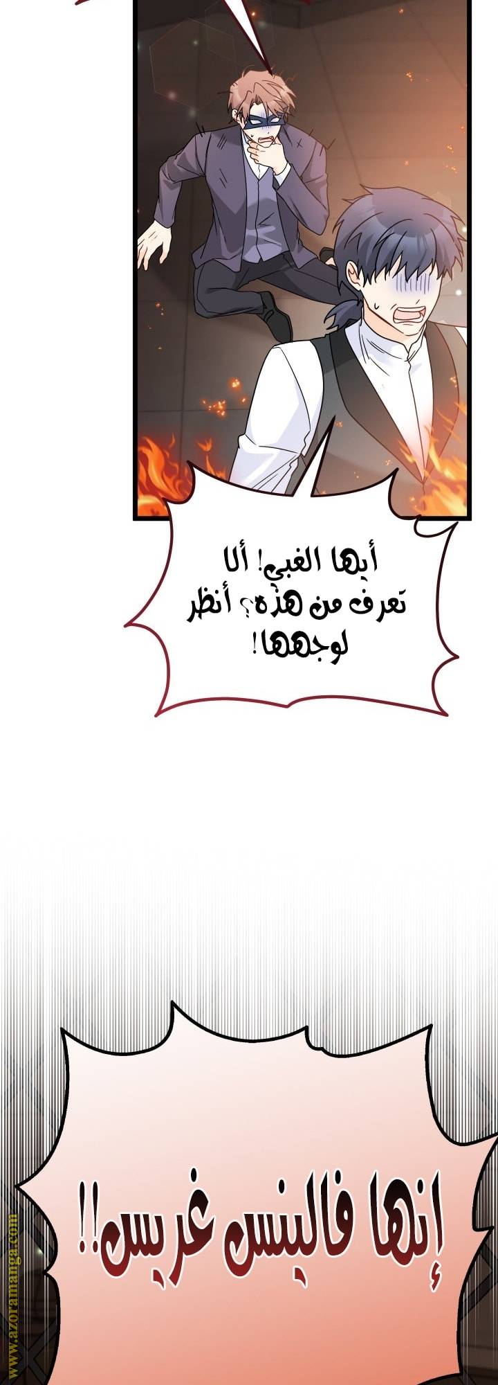الصفحة 28
