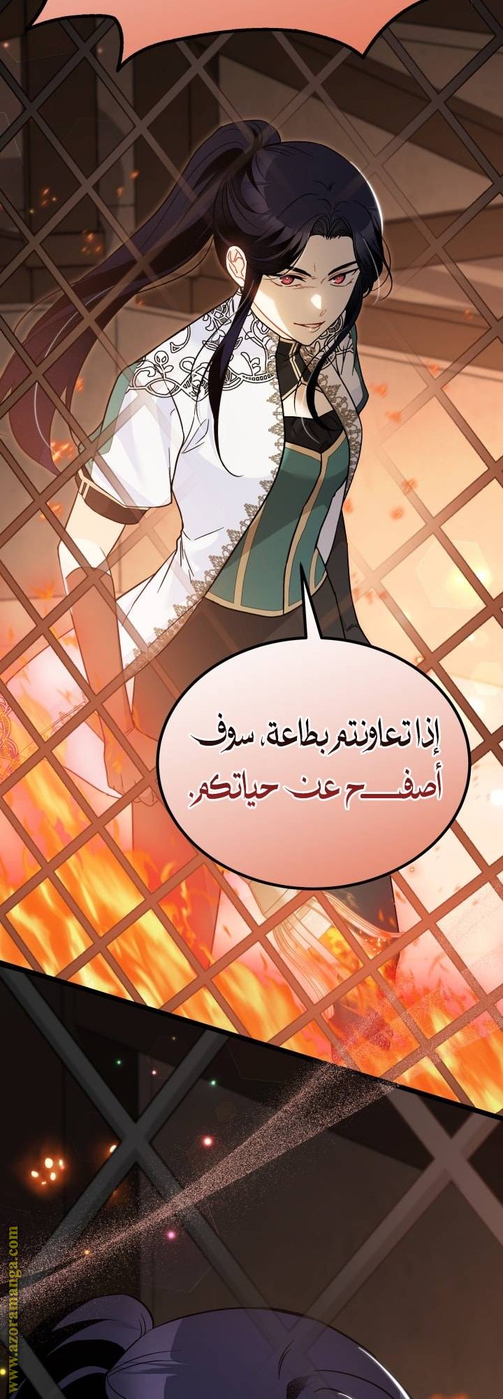 الصفحة 29