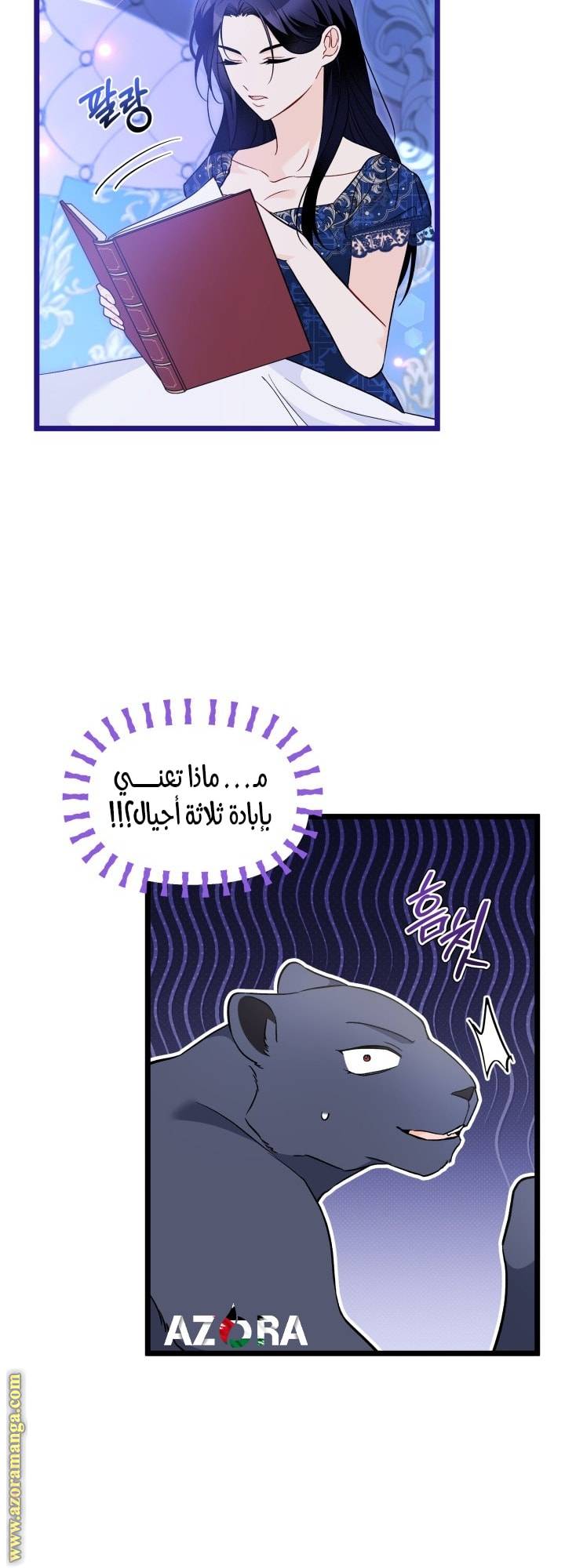 الصفحة 48