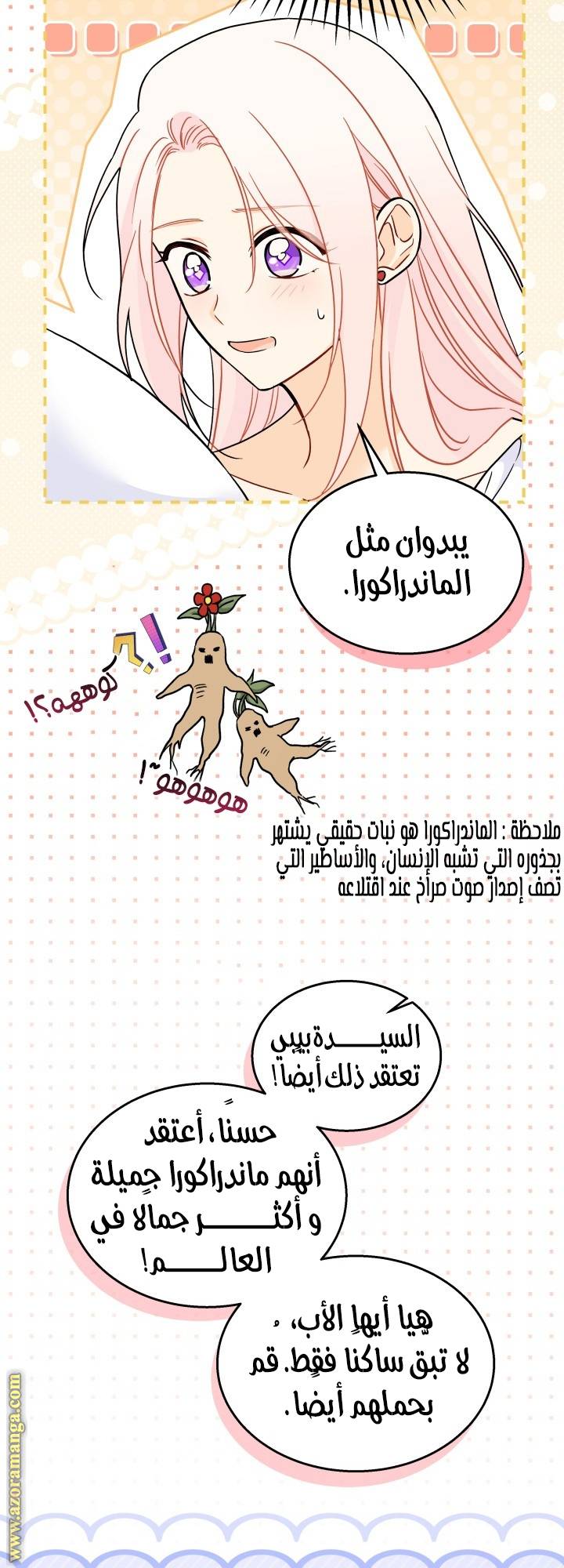 الصفحة 4