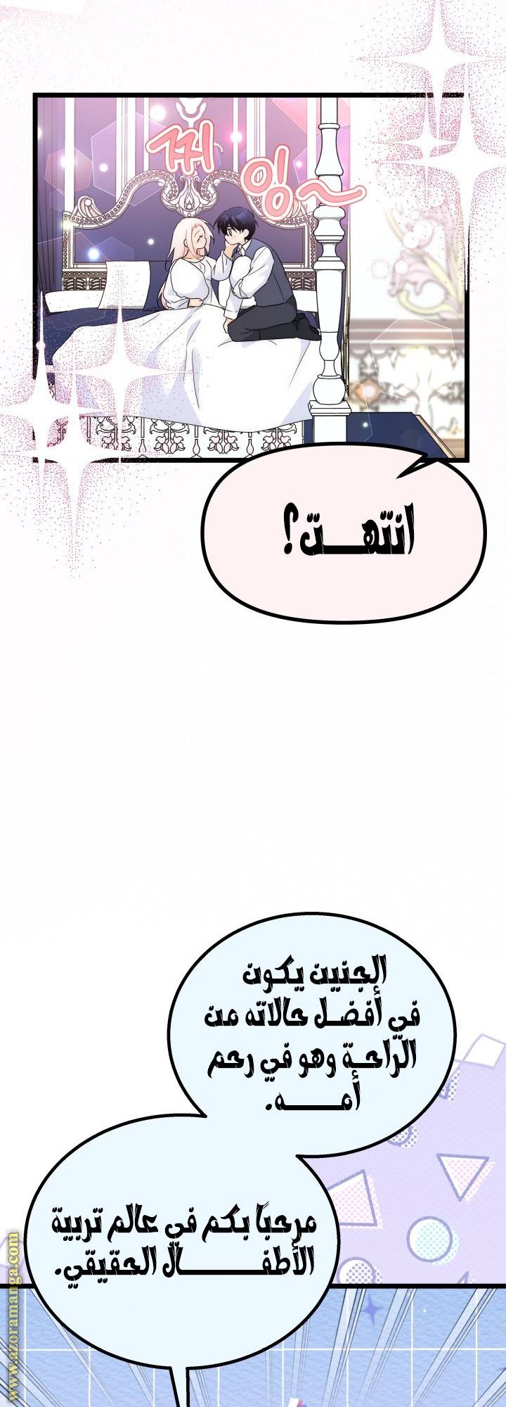 الصفحة 13
