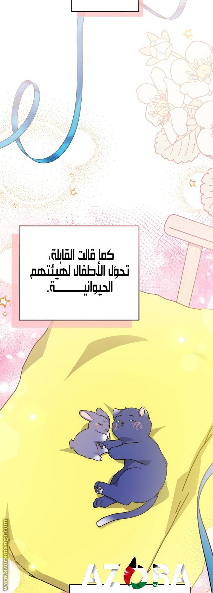 الصفحة 17