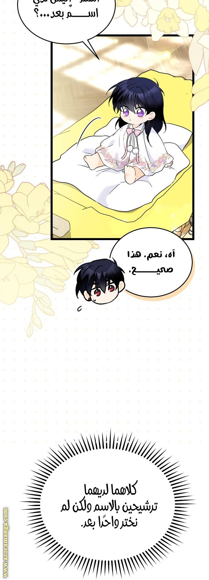 الصفحة 26