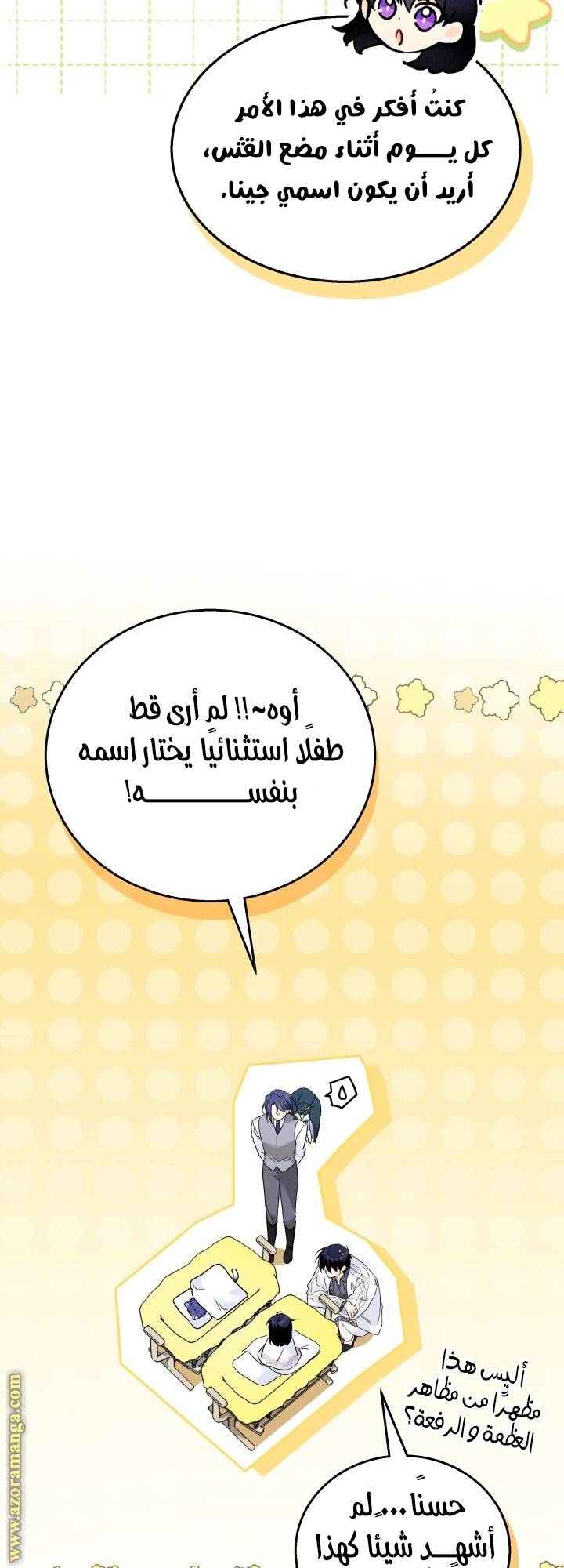 الصفحة 29