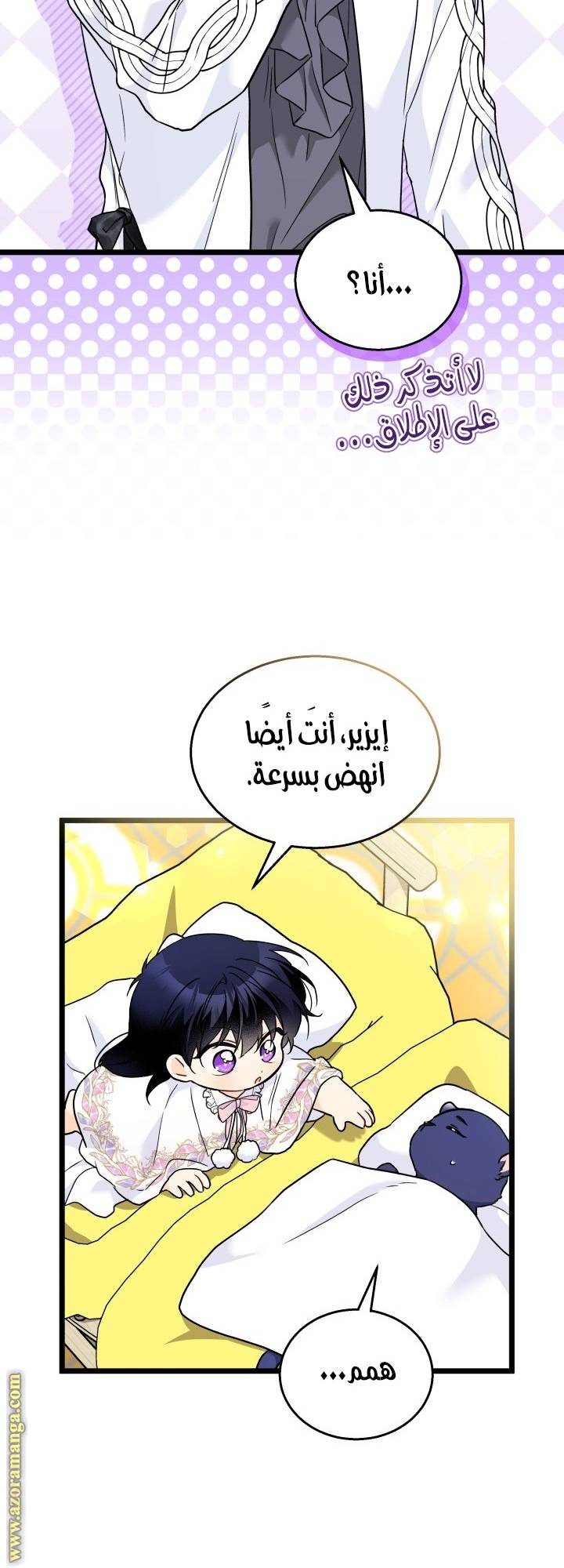 الصفحة 42