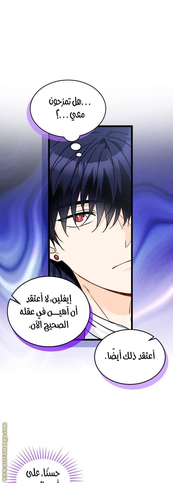 الصفحة 13