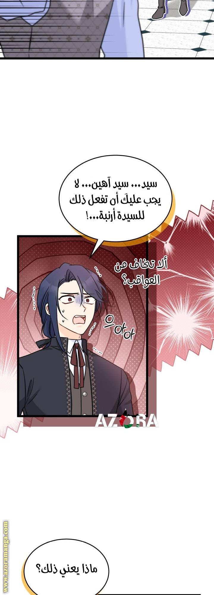 الصفحة 21