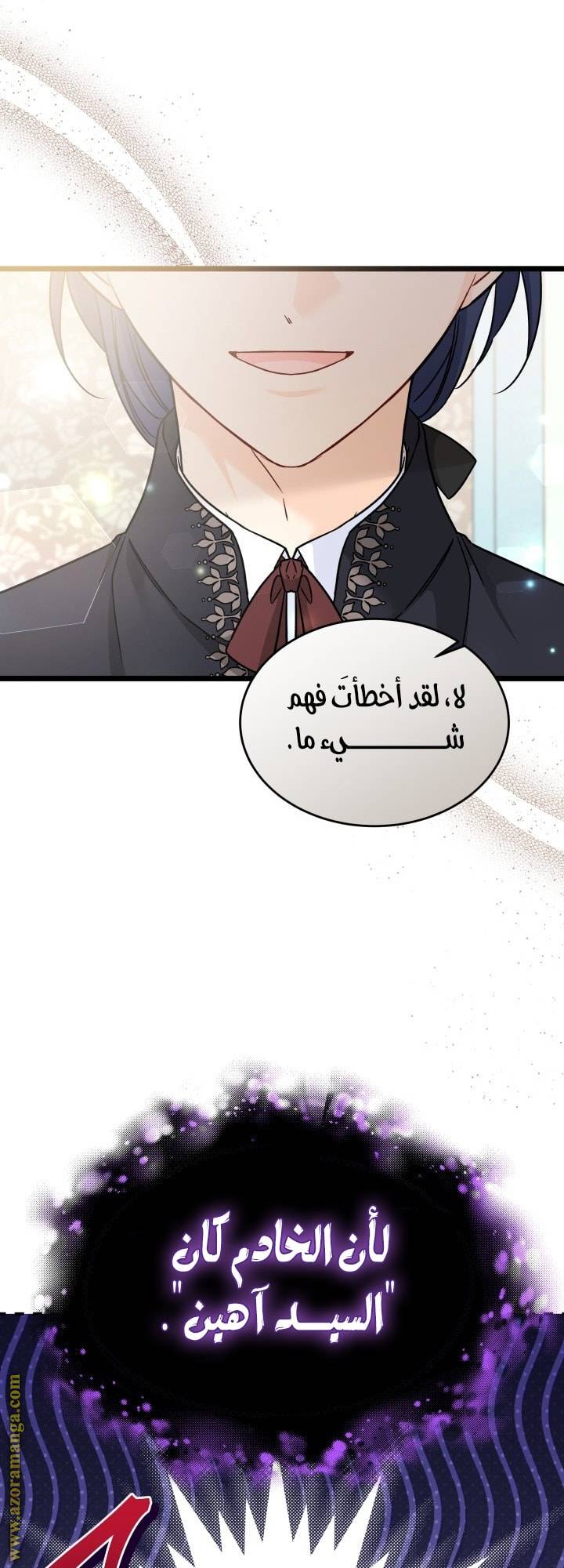 الصفحة 31
