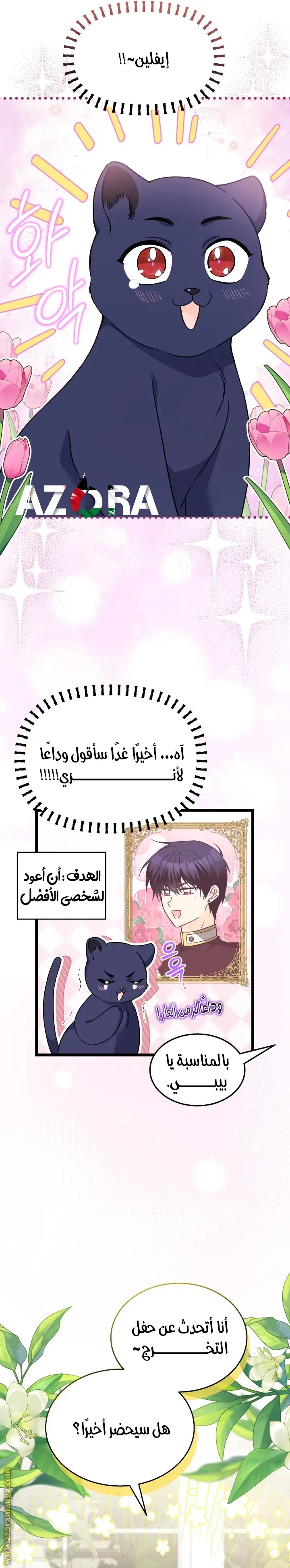 الصفحة 13
