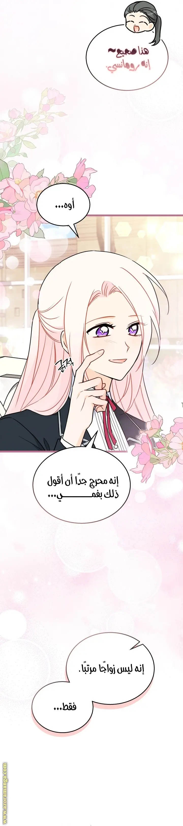 الصفحة 19