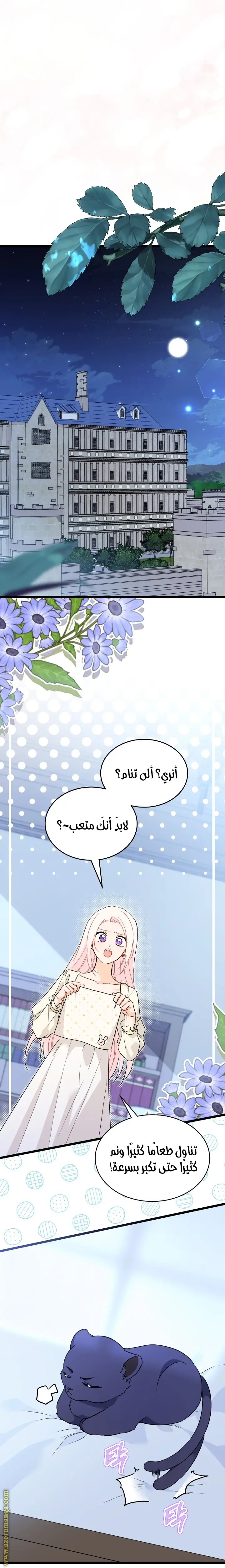 الصفحة 21
