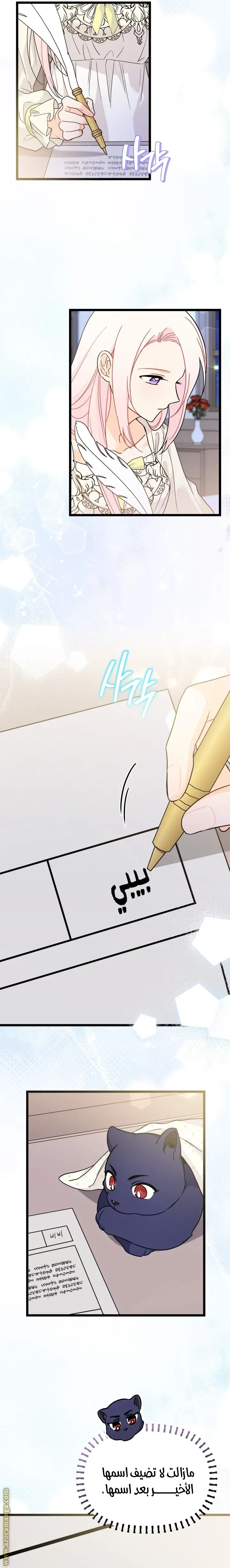 الصفحة 24