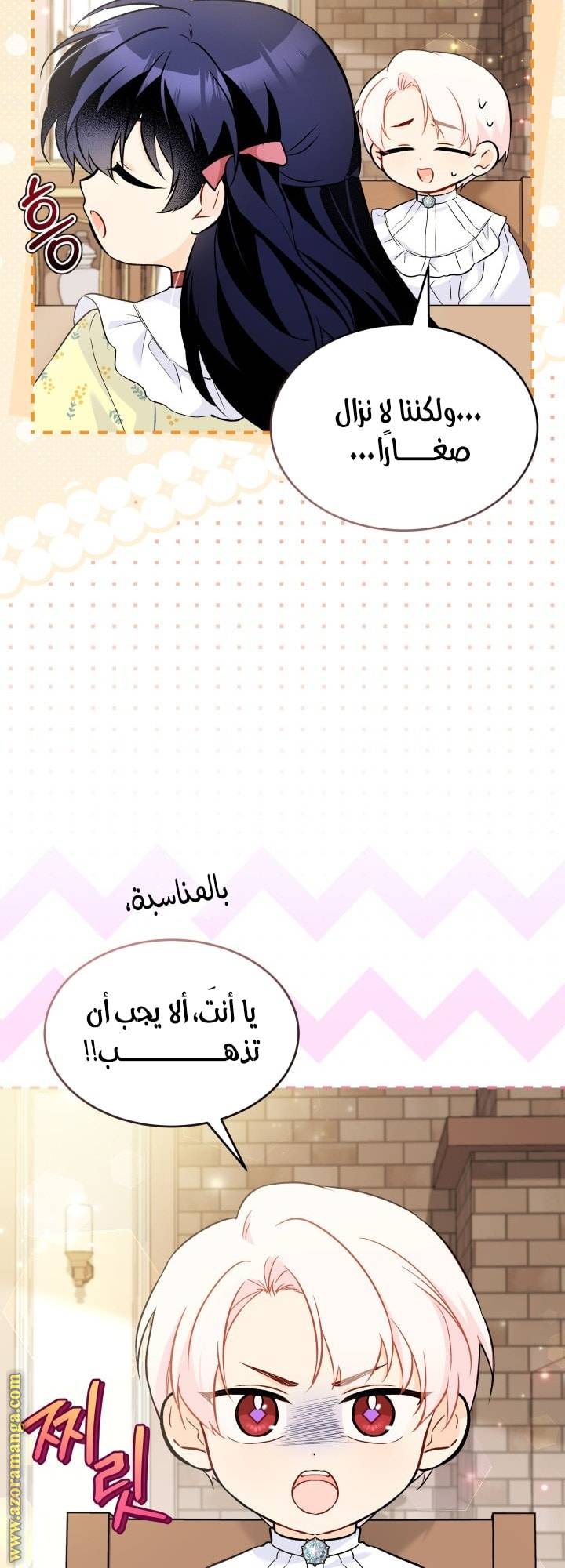 الصفحة 13