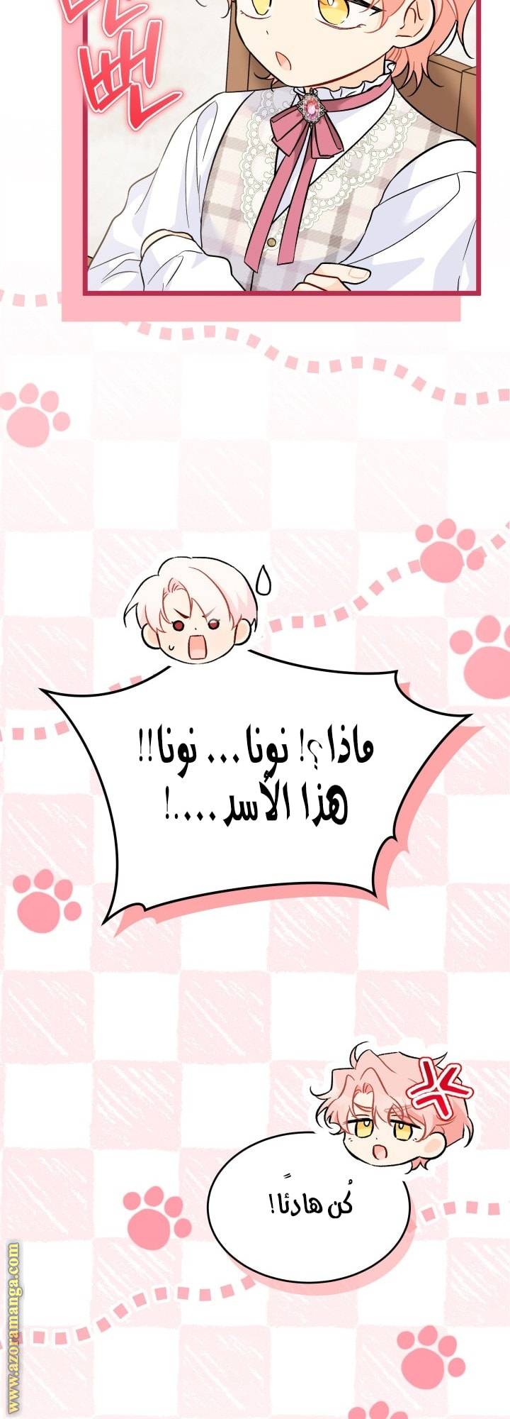 الصفحة 29