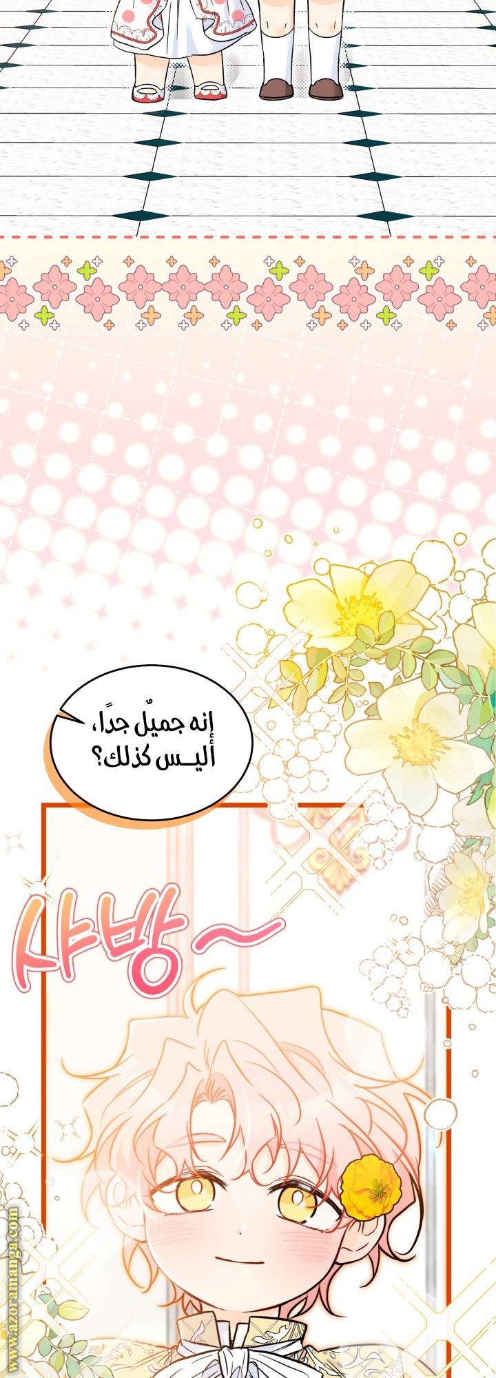 الصفحة 14