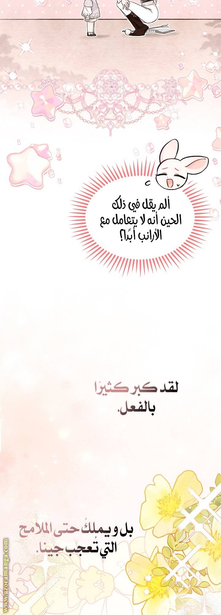 الصفحة 20