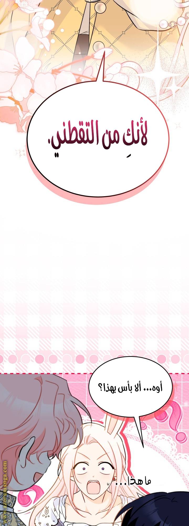 الصفحة 29