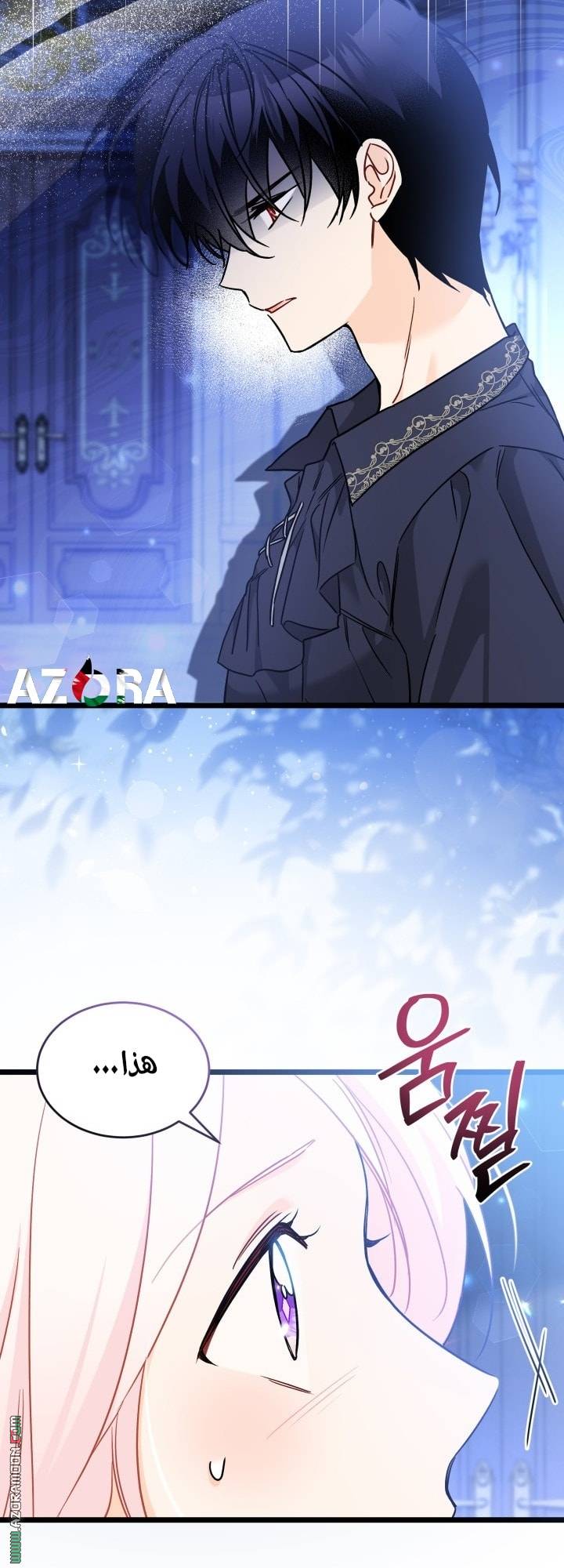 الصفحة 11