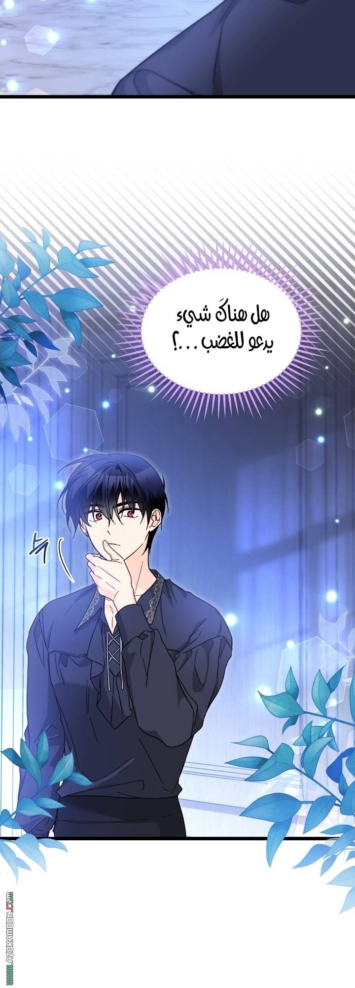 الصفحة 24