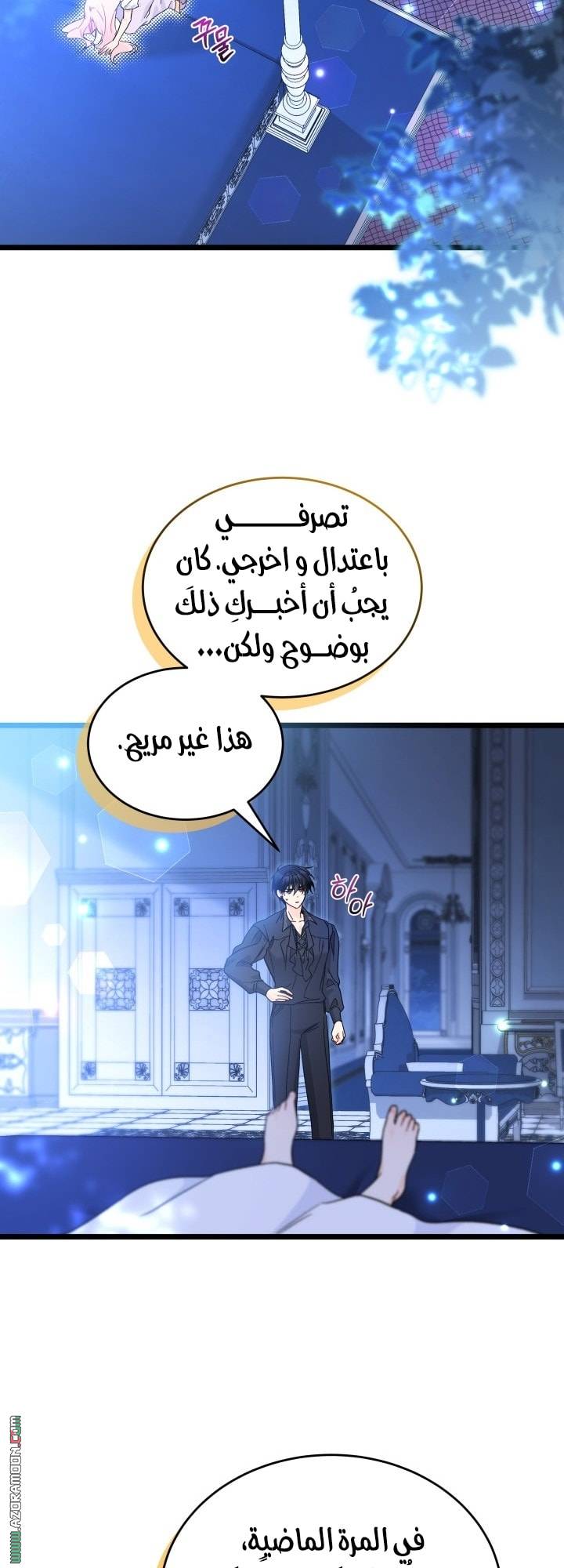الصفحة 41