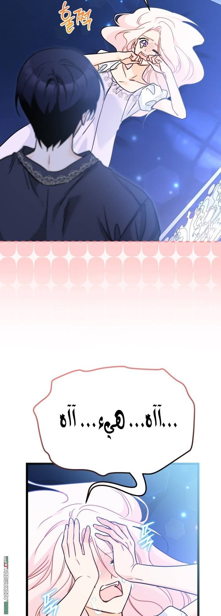 الصفحة 48