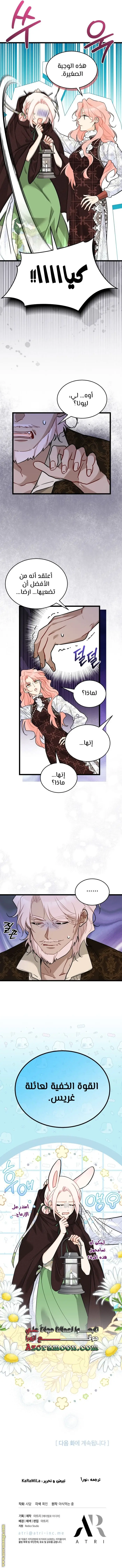 الصفحة 13