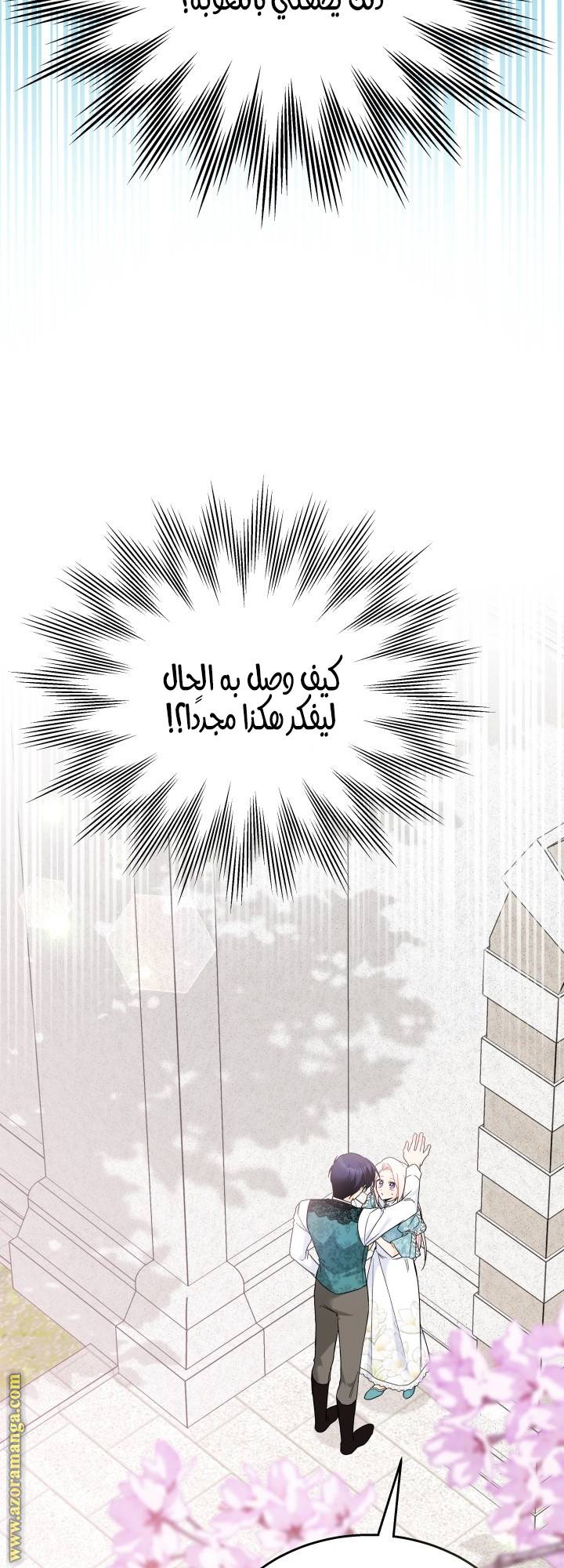 الصفحة 21