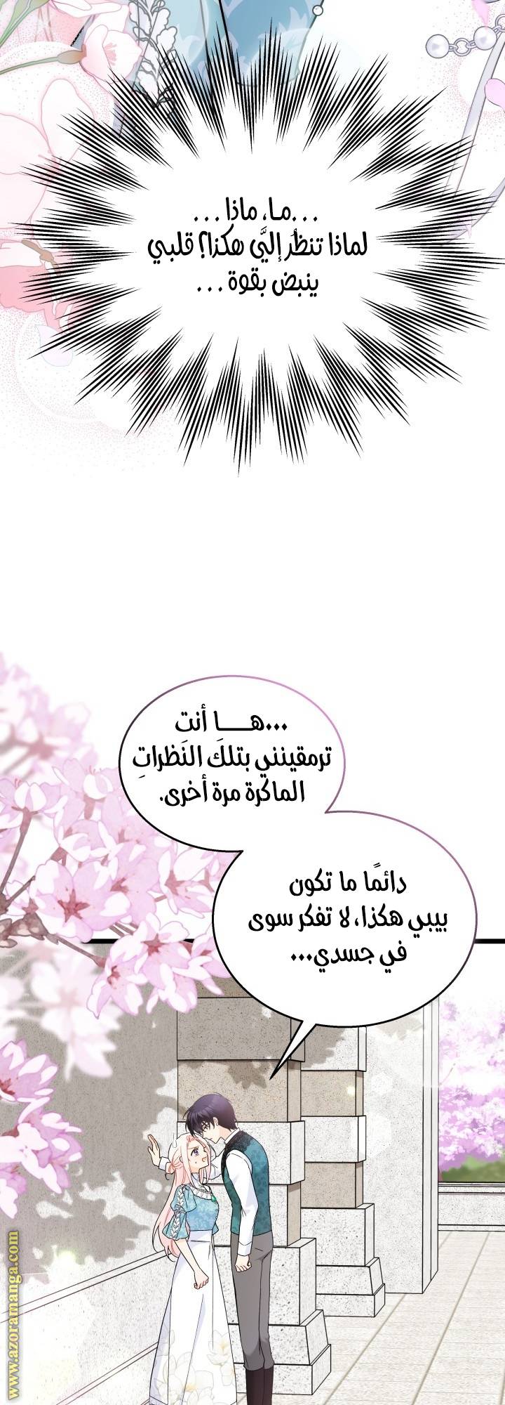 الصفحة 27