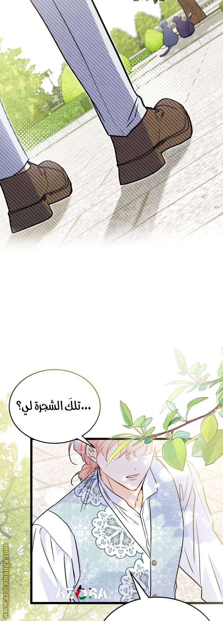 الصفحة 52