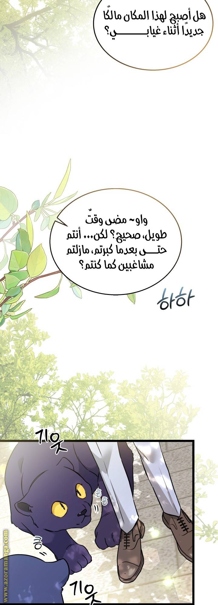 الصفحة 53