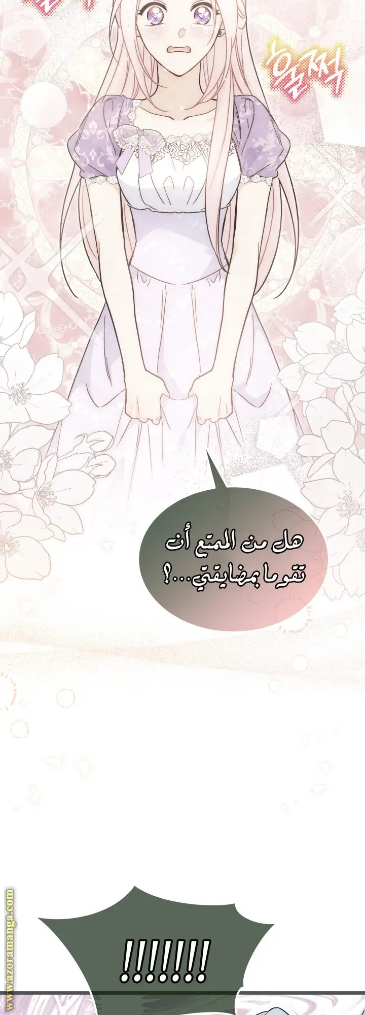 الصفحة 26