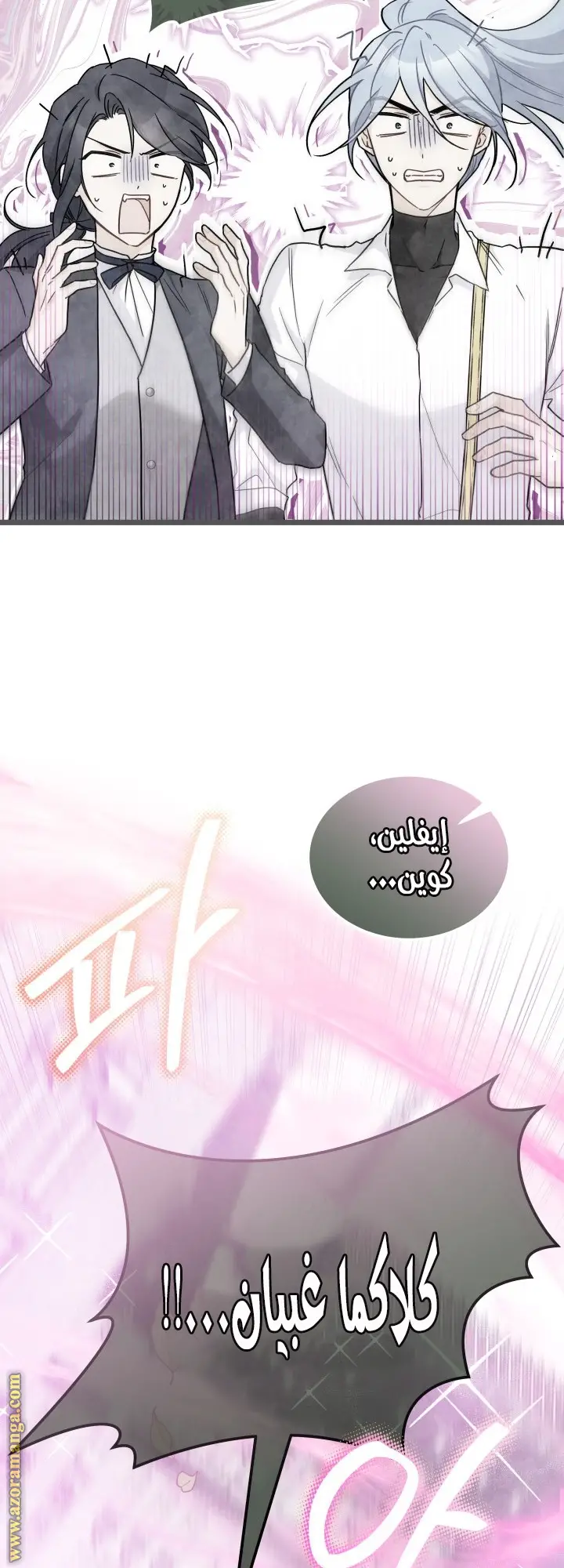 الصفحة 27