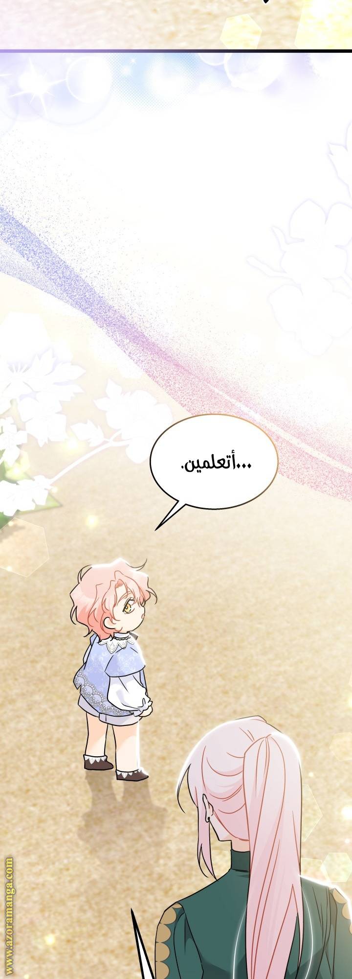 الصفحة 27
