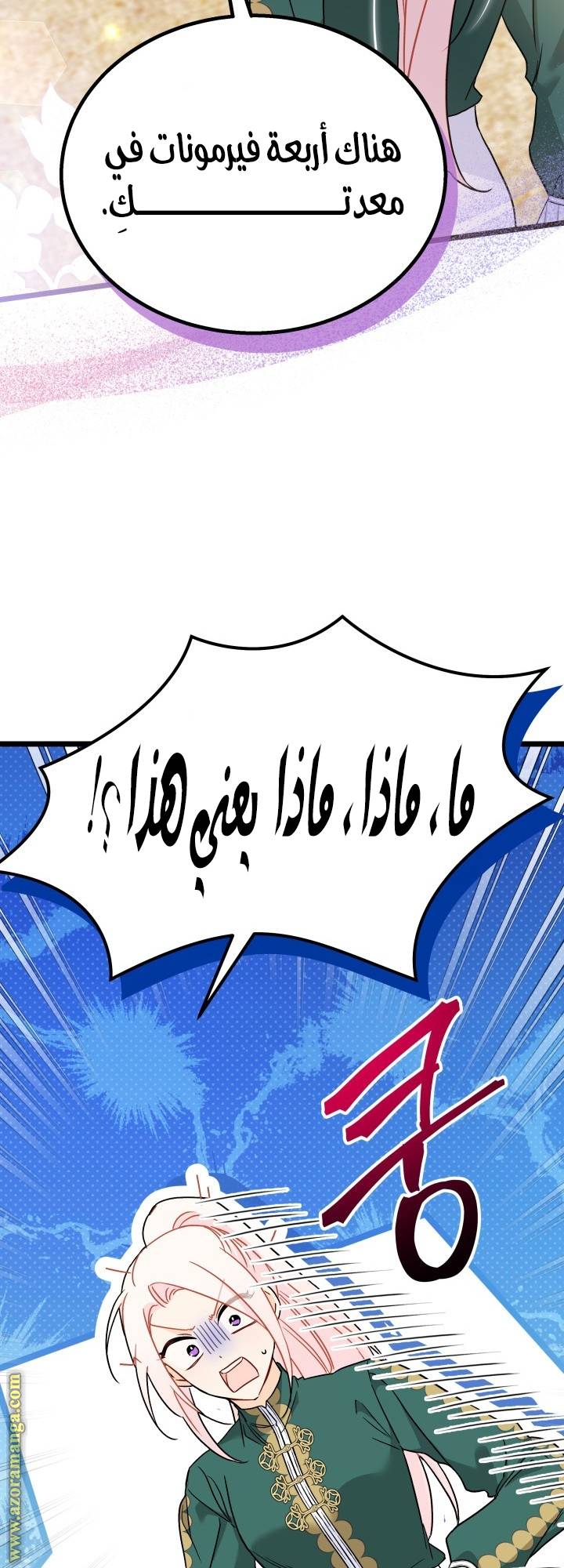 الصفحة 28