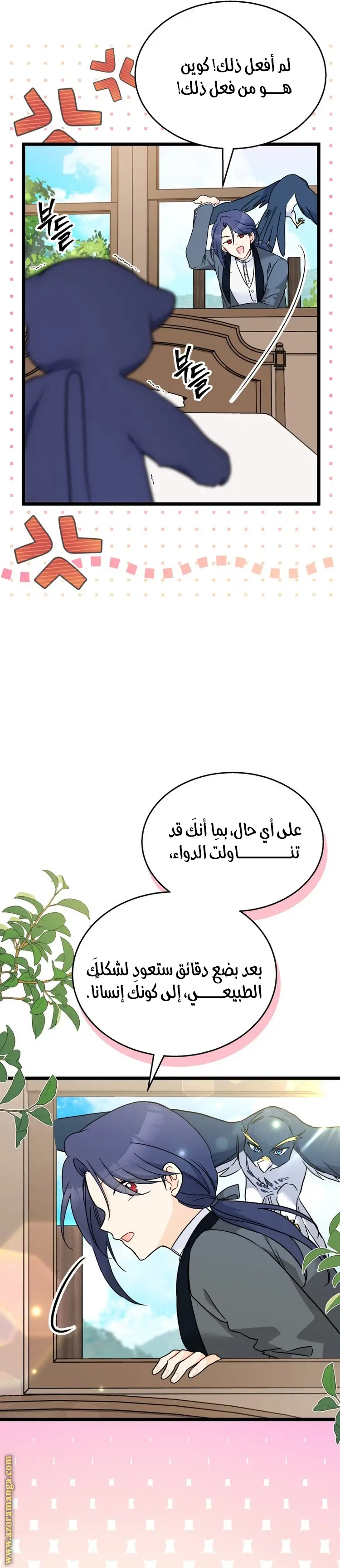 الصفحة 5