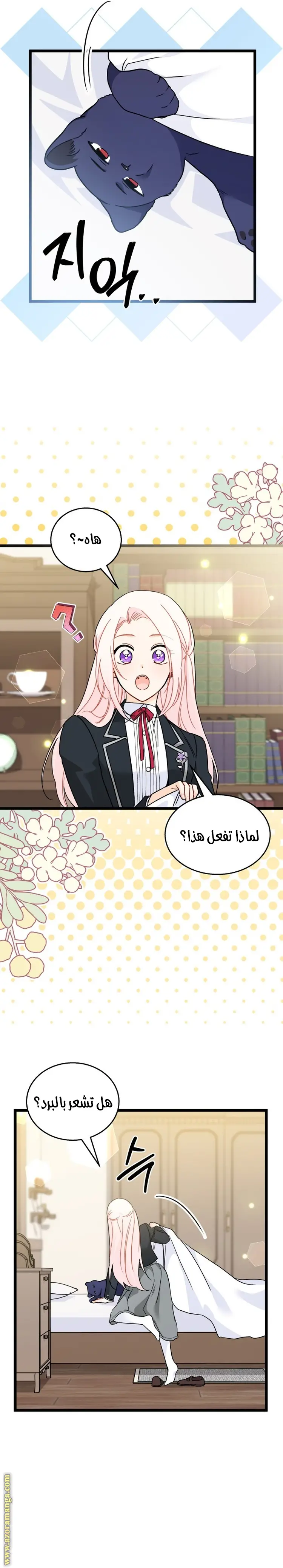 الصفحة 11