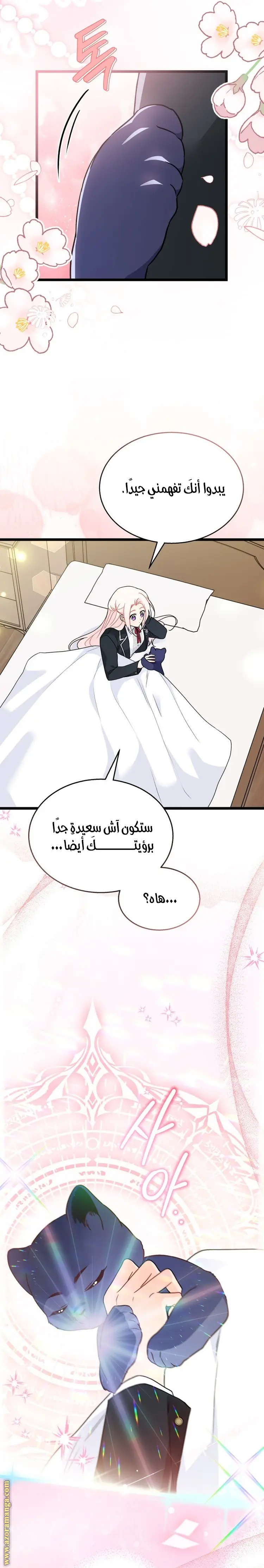 الصفحة 14