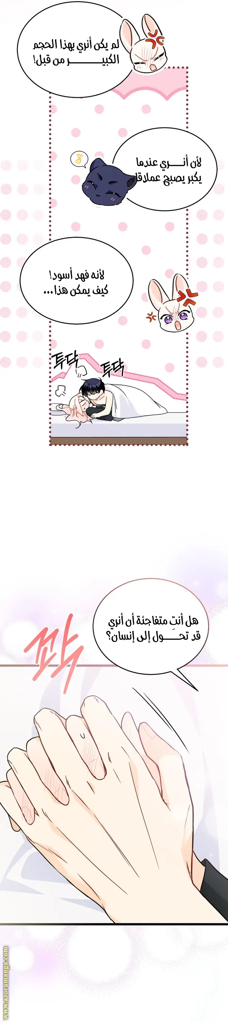 الصفحة 19