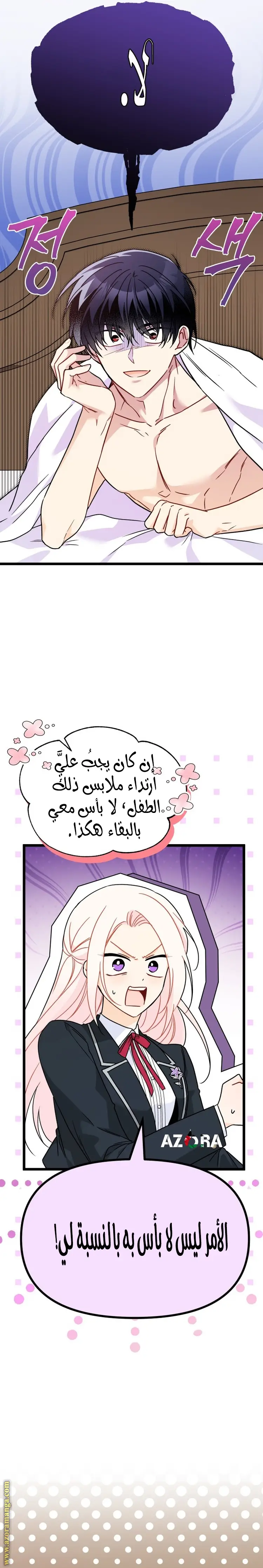 الصفحة 25