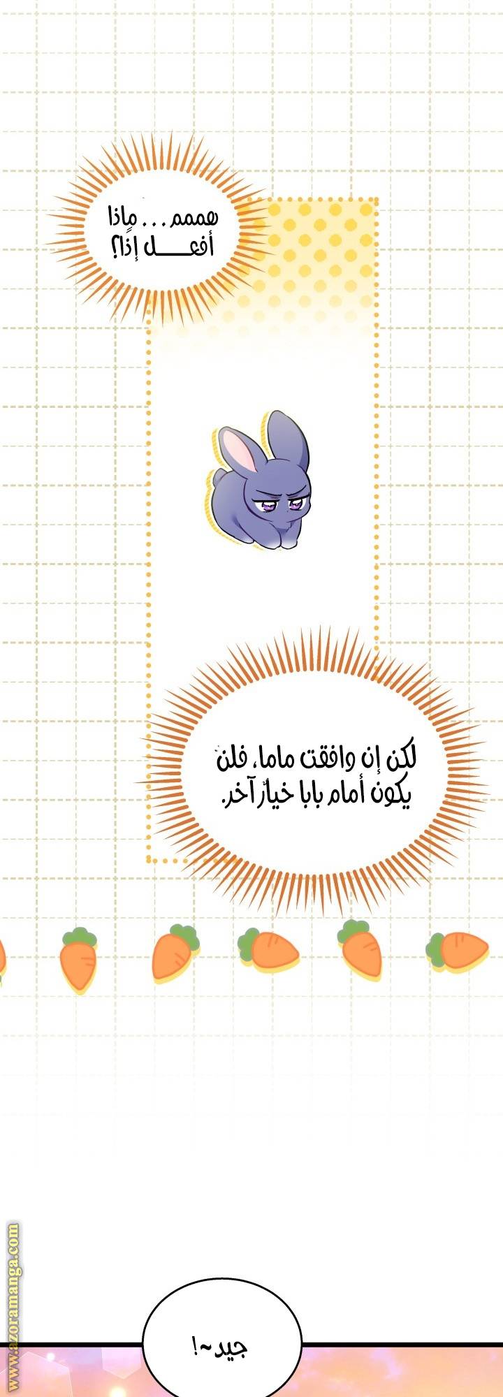 الصفحة 17