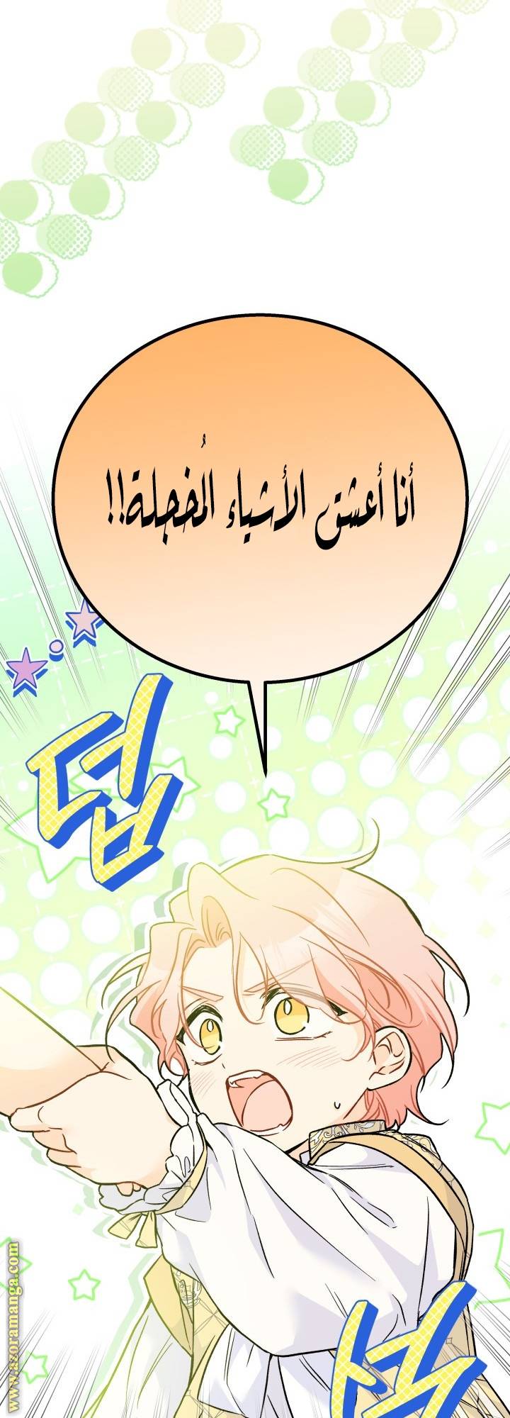 الصفحة 24