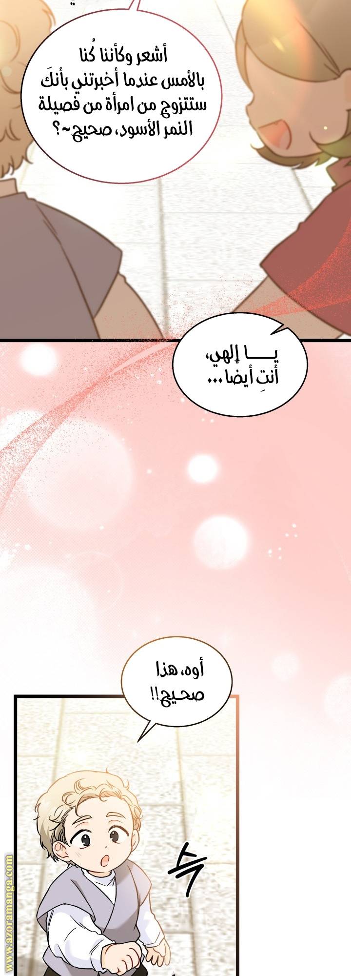 الصفحة 47